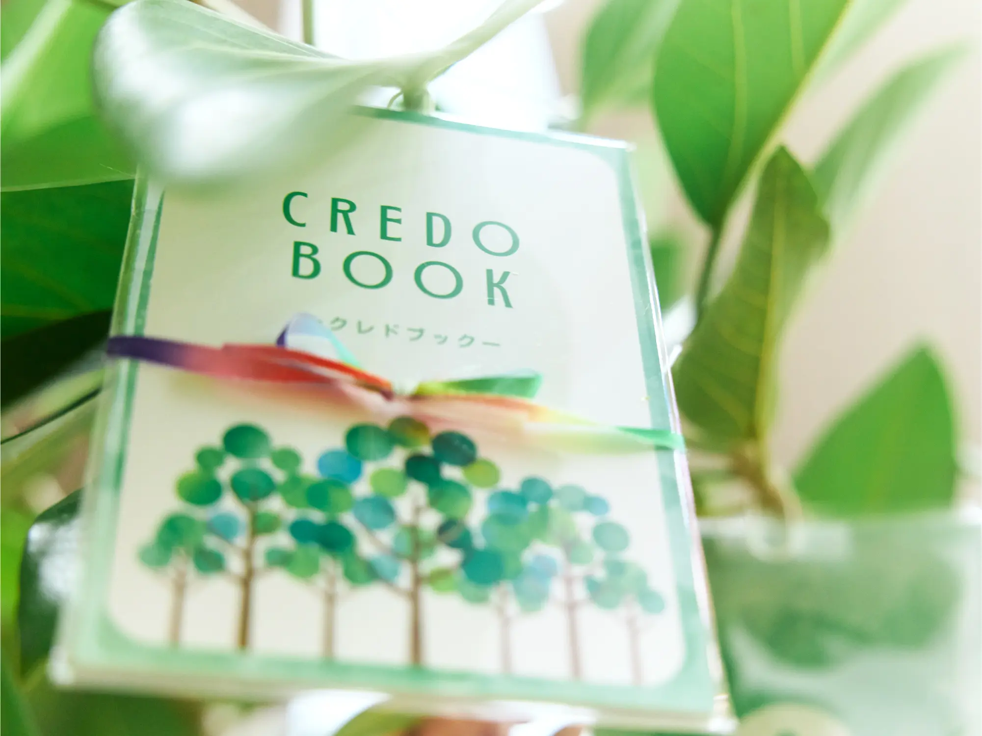 現場の先生たちの想いに触れ、一文字一文字に命を吹き込んだクレドブック。単なる「制作物」ではなく、全職員が自社の価値を再発見し、誇りを持って語り出すための「新しいスタートライン」の象徴となる。

