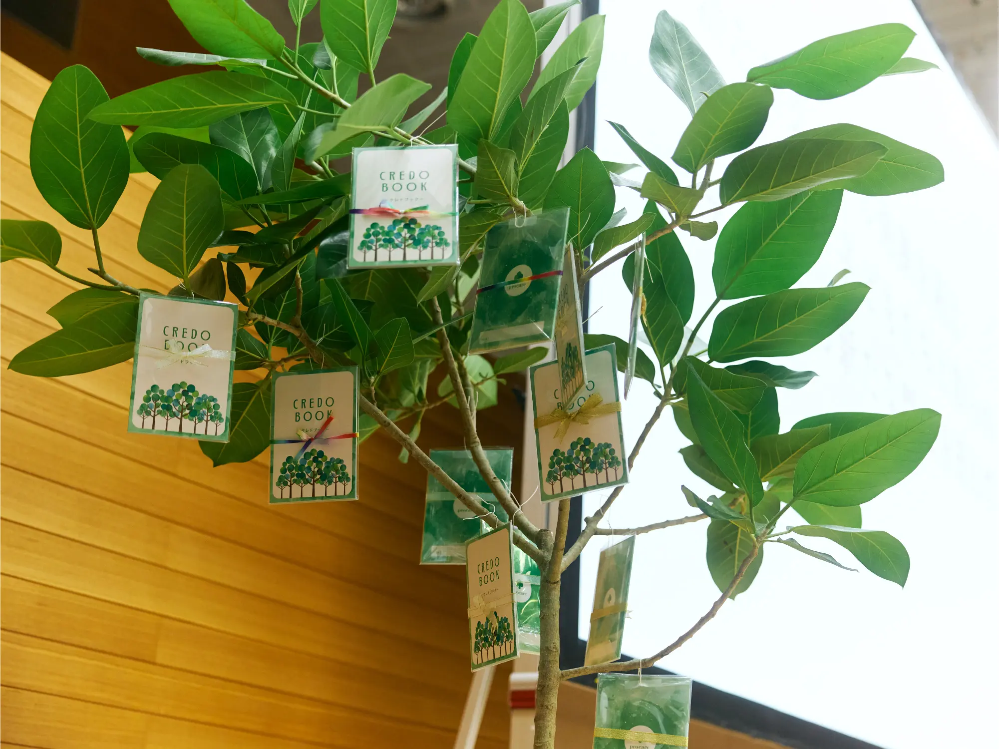 ビジュアルの中にある「木」を、本物の姿で贈る。細部までこだわり抜いた表現に、実物の木にクレドブックを飾るサプライズを添えて。会社の目線に立ち、親身に、粘り強く伴走し続けた4ヶ月半の道のりが、確かな信頼と喜びの花を咲かせた。